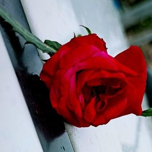 Meet your Posher, Mayuri